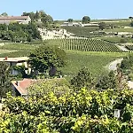 Les Logis Des Vignobles Emilion En Duplex N 2 Avec Terrasse *