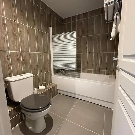 Les Logis Des Vignobles Emilion En Duplex N 2 Avec Terrasse Lägenhet *