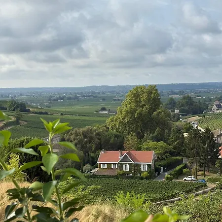 Les Logis Des Vignobles Emilion En Duplex N 2 Avec Terrasse Saint-Émilion